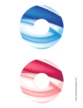 Printable Blue Red Bold Software CD-DVD Labels