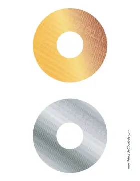 Printable Gold Silver Digital Software CD-DVD Labels