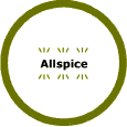Printable Simple Spice Labels Tops 1
